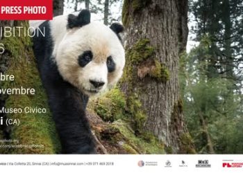 Dal 9 ottobre il MuA – Museo e Archivio di Sinnai ospita una tappa del tour internazionale della World Press Photo Exhibition 2026