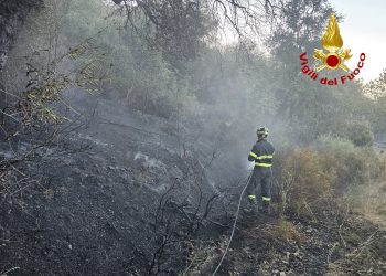 Arzana, in azione i Vigili del Fuoco per spegnere i focolai riaccesi nella notte