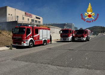 Nuoro, fiamme nella zona industriale di Pratosardo: intervento dei Vigili del Fuoco