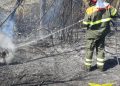 Fiamme a Benetutti, Loculi e Arzana: in azione i mezzi aerei