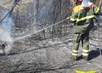 Fiamme a Benetutti, Loculi e Arzana: in azione i mezzi aerei