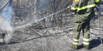 Fiamme a Benetutti, Loculi e Arzana: in azione i mezzi aerei