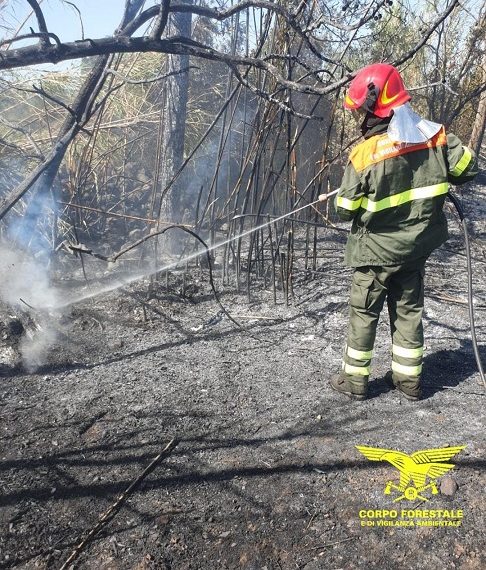 Fiamme a Benetutti, Loculi e Arzana: in azione i mezzi aerei