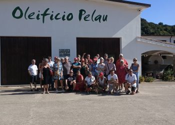 Dall’Australia in Ogliastra per l’oleoturismo: il mondo si ritrova all’oleificio Pelau