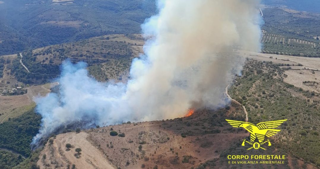 Vasto incendio a Ittiri, in azione due elicotteri