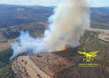 Vasto incendio a Ittiri, in azione due elicotteri