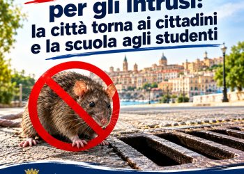 Emergenza roditori a Cagliari: la Città Metropolitana avvia un piano straordinario di derattizzazione