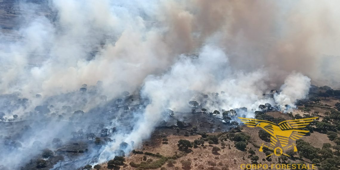 Incendi a Sindia e Serrenti: presenti i mezzi aerei