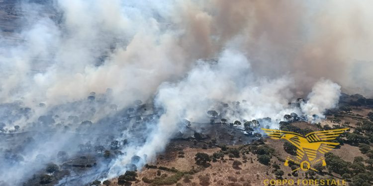 Incendi a Sindia e Serrenti: presenti i mezzi aerei