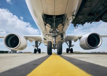 Serpente nella cappelliera: panico a bordo di un aereo