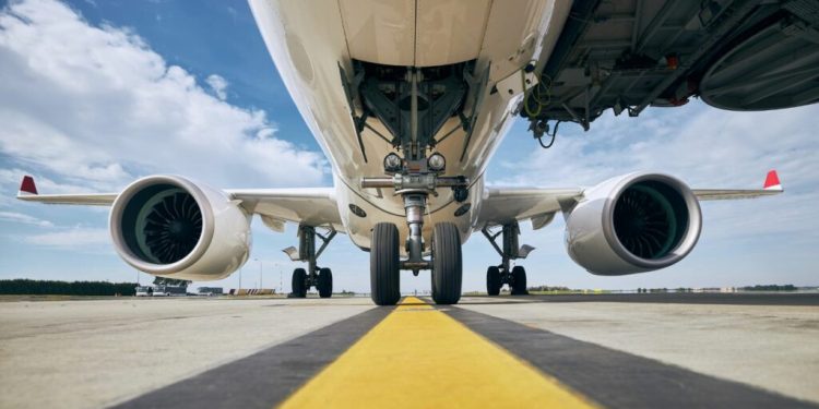 Serpente nella cappelliera: panico a bordo di un aereo