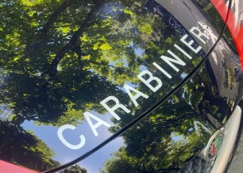 Caivano, blitz contro il clan Angelino: mazzi di contanti nascosti nei muri