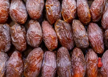 Tunisia, esportazioni agroalimentari verso la Russia in aumento del 57% nei primi sette mesi del 2026