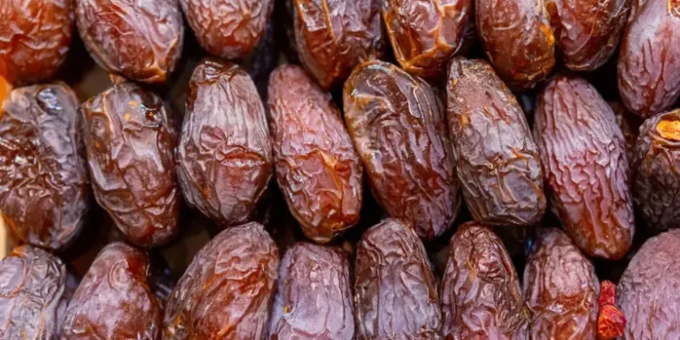 Tunisia, esportazioni agroalimentari verso la Russia in aumento del 57% nei primi sette mesi del 2026