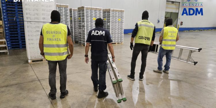Sequestrati 53 kg di cocaina tra la frutta nel porto di Livorno
