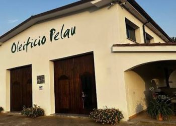 Dal Messico ad Israele, estate ricca di “ospiti” all’oleificio Pelau in Ogliastra