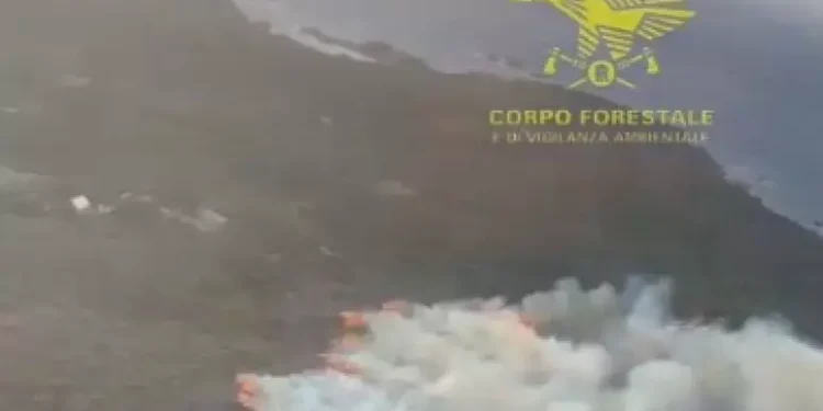 Incendi, l’Isola unica regione del Sud in controtendenza tra 2025 e 2026