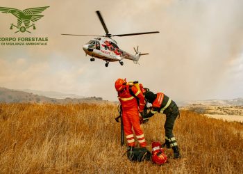 Incendio boschivo doloso a Sarroch: patteggia 4 anni e 8 mesi di reclusione