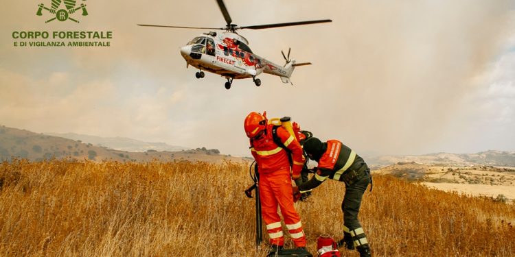 Incendio boschivo doloso a Sarroch: patteggia 4 anni e 8 mesi di reclusione