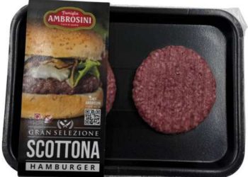 Richiamati hamburger di scottona per Salmonella