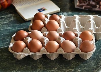 Uova ritirate per salmonella: attenzione a 4 diverse confezioni, l’alert del Ministero della Salute