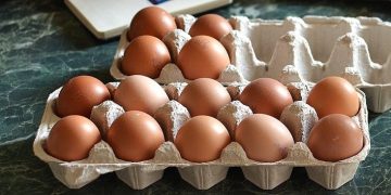Uova ritirate per salmonella: attenzione a 4 diverse confezioni, l’alert del Ministero della Salute