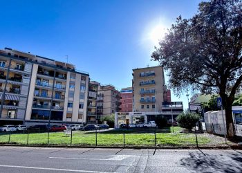 Cagliari, riaperta l’area cani di piazza Maxia