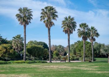 Nuova illuminazione per il Parco di Terramaini