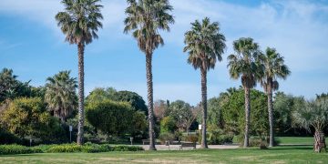 Nuova illuminazione per il Parco di Terramaini