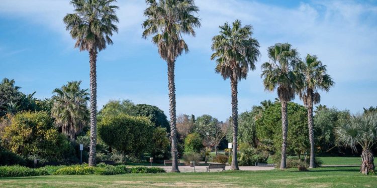Nuova illuminazione per il Parco di Terramaini