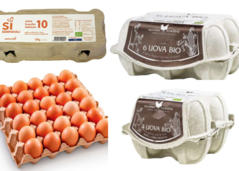 Richiamate le uova biologiche per la presenza di Salmonella typhimurium