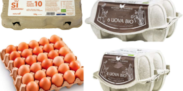 Richiamate le uova biologiche per la presenza di Salmonella typhimurium