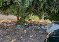 Discarica a cielo aperto in via Stamira a Cagliari