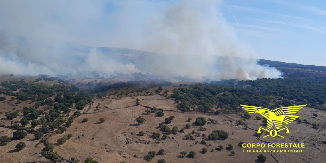 Vasto incendio a Sindia, sul posto elicotteri e un canadair