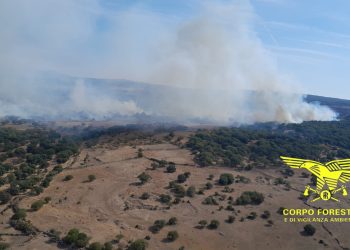 Vasto incendio a Sindia, sul posto elicotteri e un canadair