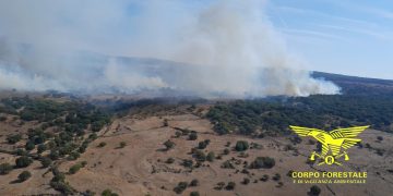 Vasto incendio a Sindia, sul posto elicotteri e un canadair