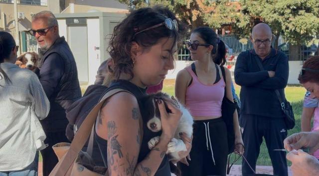 Benessere animale a Quartu, l’Amministrazione lancia l’app ‘Zampe Quartesi Map’ e continua la campagna di microchippatura