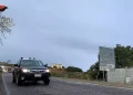 Sequestrata piantagione di marijuana a Orgosolo, un arresto