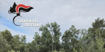 Piantagione di canapa a San Nicolò d’Arcidano, arrestato un 25enne