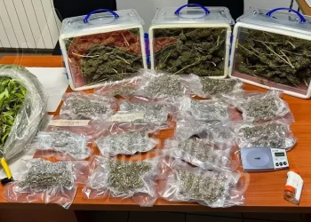 La casa trasformata in una serra, tradito da odore marijuana e arrestato