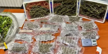 La casa trasformata in una serra, tradito da odore marijuana e arrestato