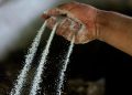 Colombia, sequestrate 7,6 tonnellate di cocaina dirette nei Paesi Bassi al porto di Cartagena
