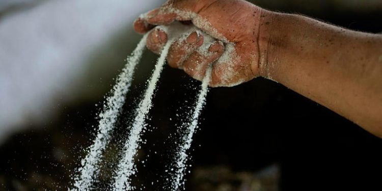 Colombia, sequestrate 7,6 tonnellate di cocaina dirette nei Paesi Bassi al porto di Cartagena