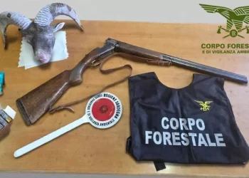 Bracconieri sorpresi dalla Forestale speronano l’auto degli agenti
