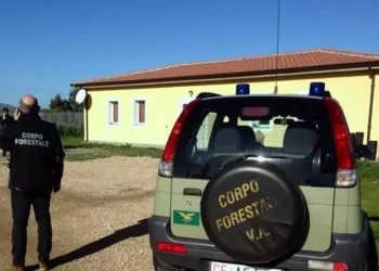 Nasconde in casa un ordigno con un chilo di tritolo, 26enne arrestata