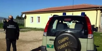 Nasconde in casa un ordigno con un chilo di tritolo, 26enne arrestata