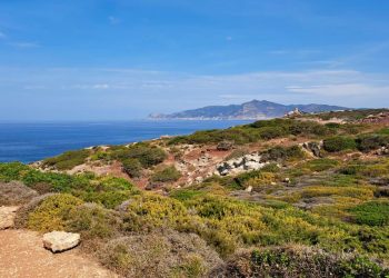 Alghero, l’agenzia Forestas dedica alla botanica Franca Valsecchi una gariga della foresta demaniale di Porto Conte