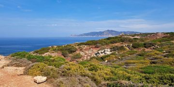 Alghero, l’agenzia Forestas dedica alla botanica Franca Valsecchi una gariga della foresta demaniale di Porto Conte