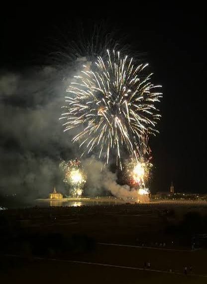 Fuochi d’artificio notturni a Cagliari: Interviene l’Associazione Earth Odv per la tutela giuridica di animali e ambiente