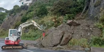 Per il maltempo crolla un albero su un’auto, morto un militare